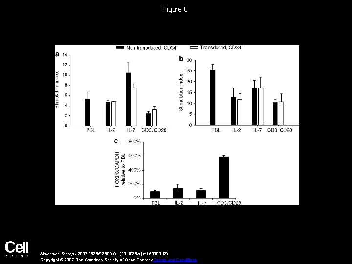 Figure 8 Molecular Therapy 2007 15355 -360 DOI: (10. 1038/sj. mt. 6300042) Copyright ©