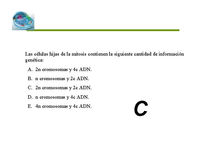 Las células hijas de la mitosis contienen la siguiente cantidad de información genética: A.