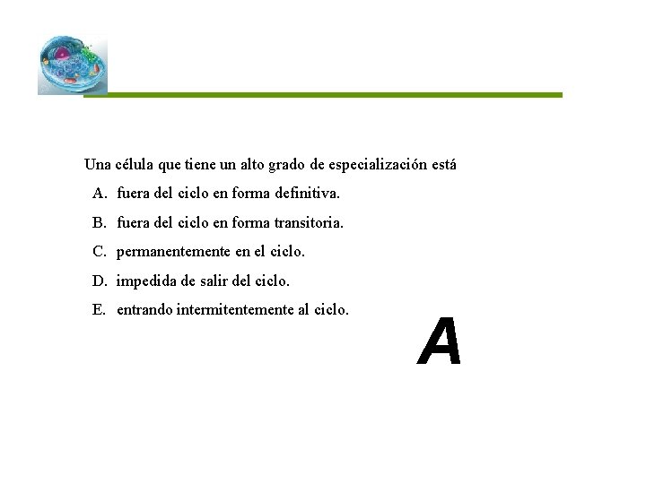 Una célula que tiene un alto grado de especialización está A. fuera del ciclo