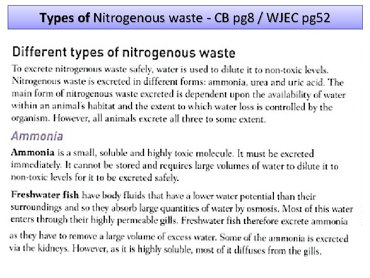 Types of Nitrogenous waste - CB pg 8 / WJEC pg 52 