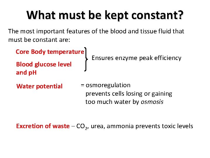 What must be kept constant? The most important features of the blood and tissue
