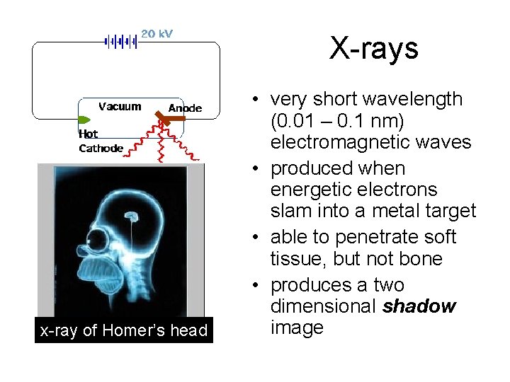 X-rays x-ray of Homer’s head • very short wavelength (0. 01 – 0. 1