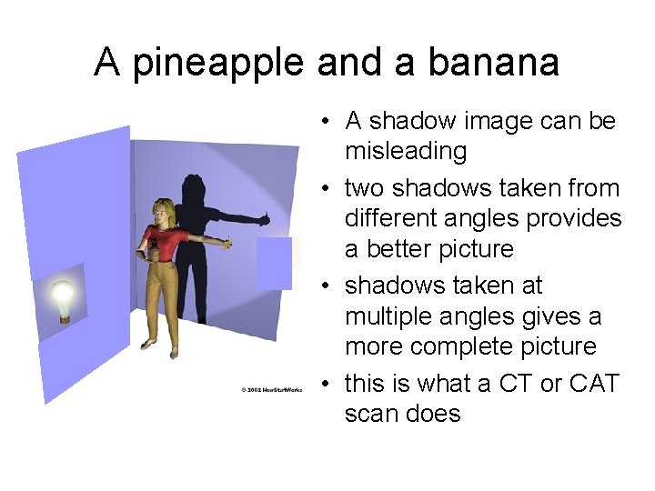 A pineapple and a banana • A shadow image can be misleading • two