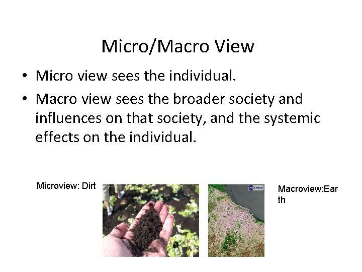 Micro/Macro View • Micro view sees the individual. • Macro view sees the broader