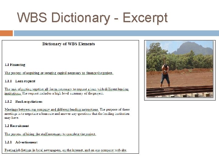 WBS Dictionary - Excerpt 