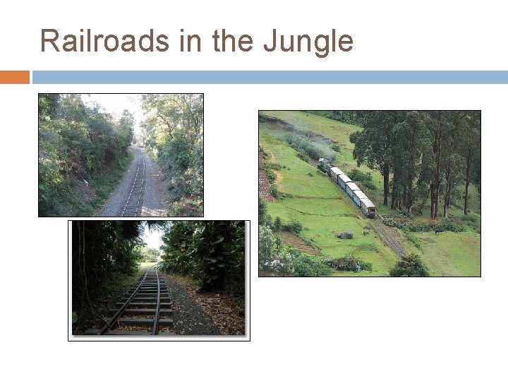 Railroads in the Jungle 