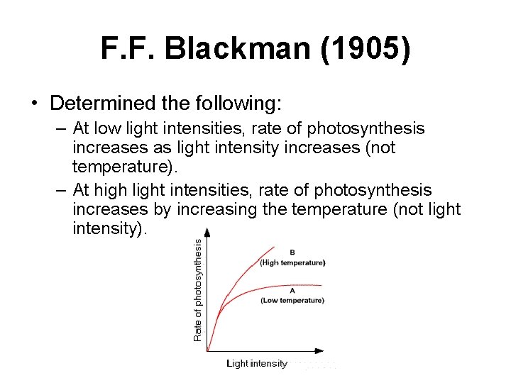 F. F. Blackman (1905) • Determined the following: – At low light intensities, rate