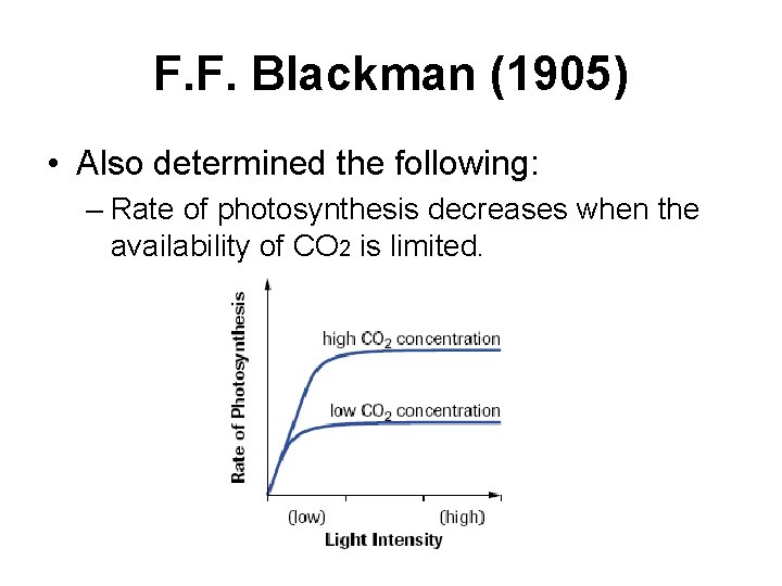 F. F. Blackman (1905) • Also determined the following: – Rate of photosynthesis decreases