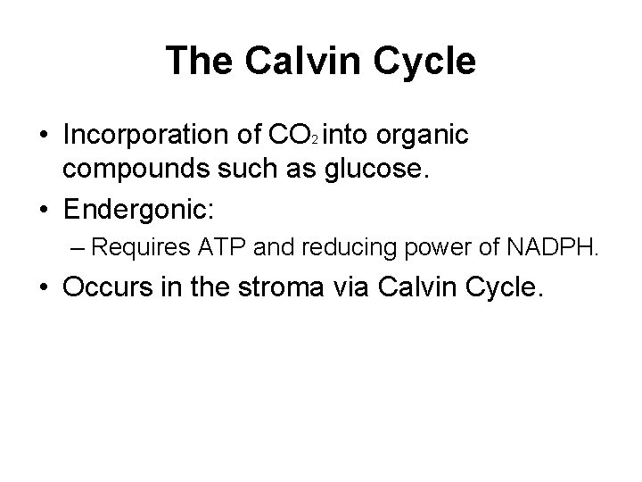 The Calvin Cycle • Incorporation of CO 2 into organic compounds such as glucose.