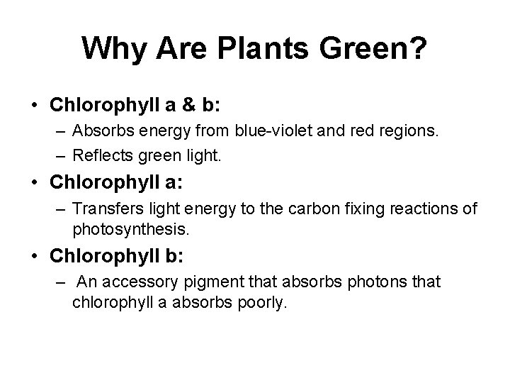 Why Are Plants Green? • Chlorophyll a & b: – Absorbs energy from blue-violet