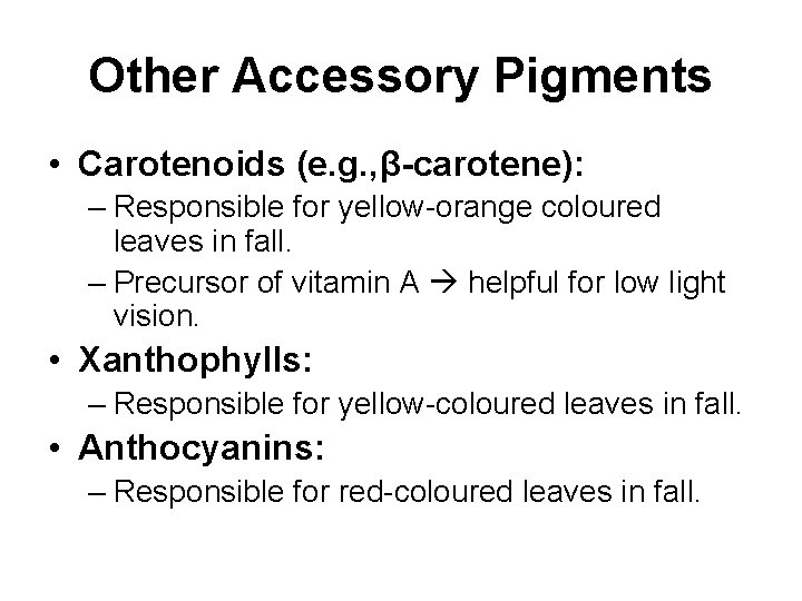 Other Accessory Pigments • Carotenoids (e. g. , β-carotene): – Responsible for yellow-orange coloured