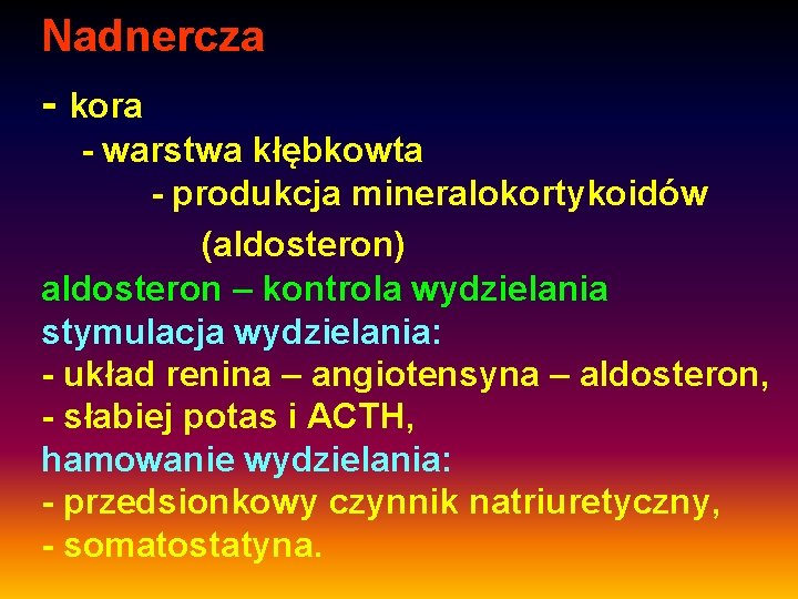 Nadnercza - kora - warstwa kłębkowta - produkcja mineralokortykoidów (aldosteron) aldosteron – kontrola wydzielania