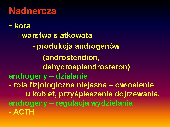 Nadnercza - kora - warstwa siatkowata - produkcja androgenów (androstendion, dehydroepiandrosteron) androgeny – działanie