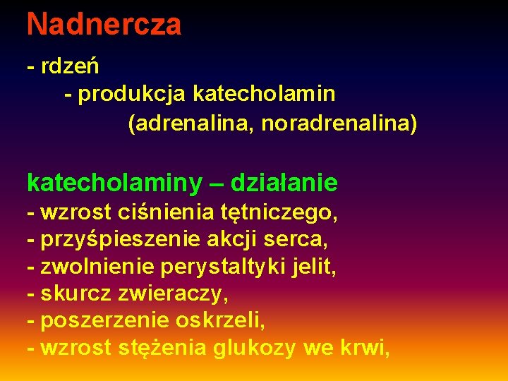 Nadnercza - rdzeń - produkcja katecholamin (adrenalina, noradrenalina) katecholaminy – działanie - wzrost ciśnienia