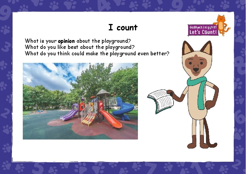 I count What is your opinion about the playground? What do you like best