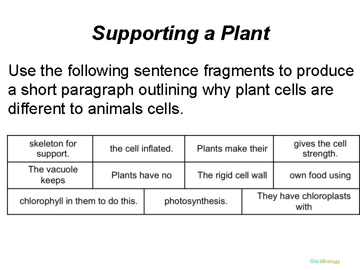 Supporting a Plant Use the following sentence fragments to produce a short paragraph outlining