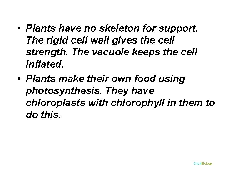  • Plants have no skeleton for support. The rigid cell wall gives the