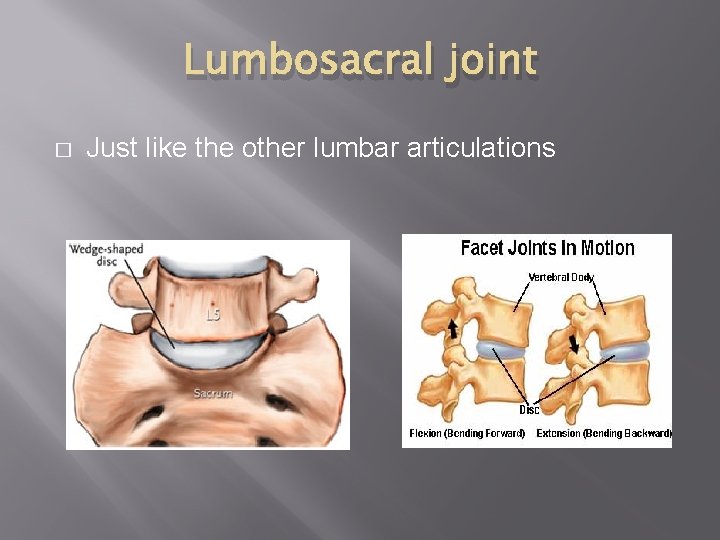 Lumbosacral joint � Just like the other lumbar articulations t 