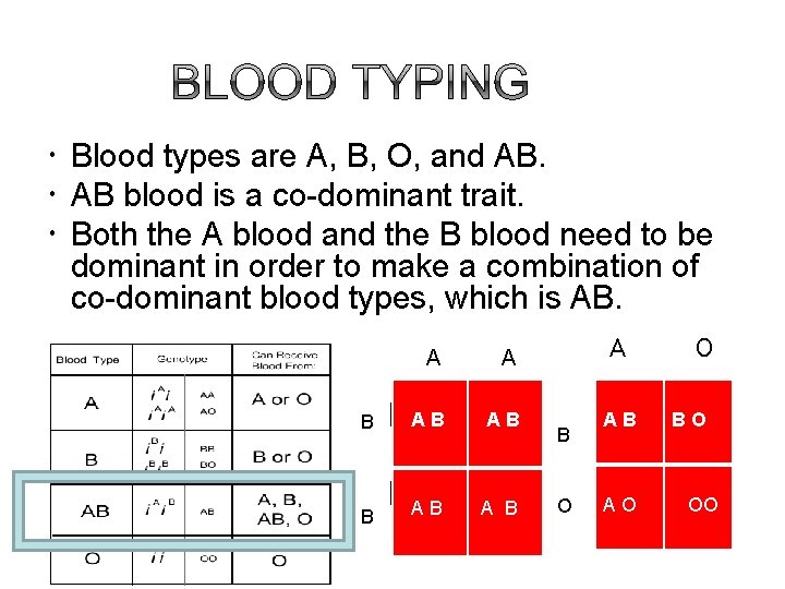  Blood types are A, B, O, and AB. AB blood is a co-dominant