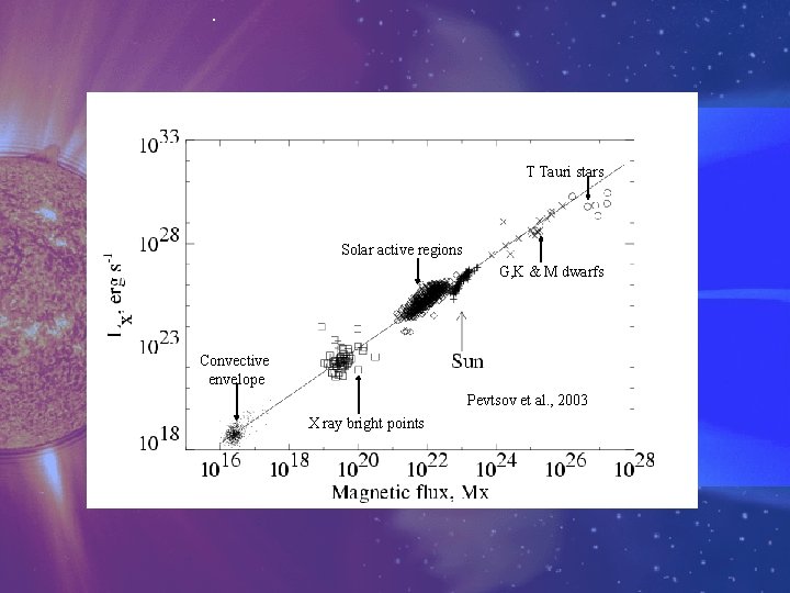 T Tauri stars Solar active regions G, K & M dwarfs Convective envelope Pevtsov