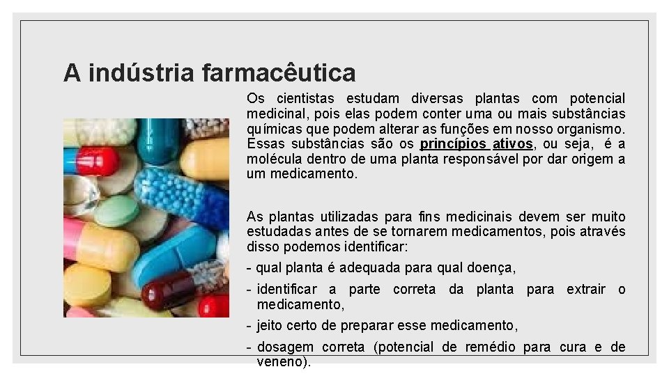 A indústria farmacêutica Os cientistas estudam diversas plantas com potencial medicinal, pois elas podem