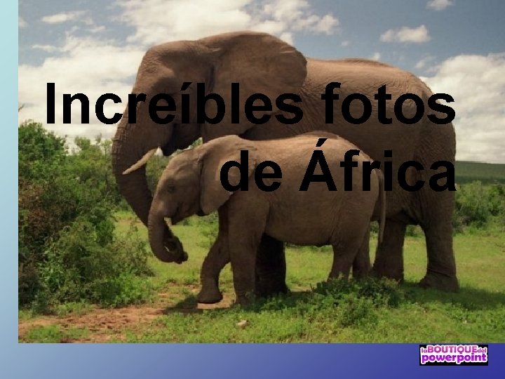 Increíbles fotos de África 