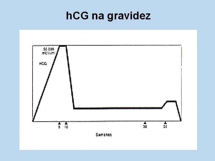 h. CG na gravidez 