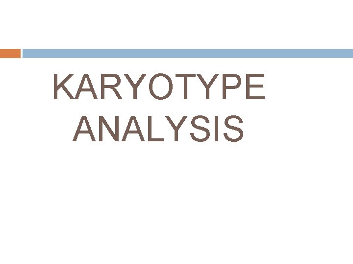 KARYOTYPE ANALYSIS 