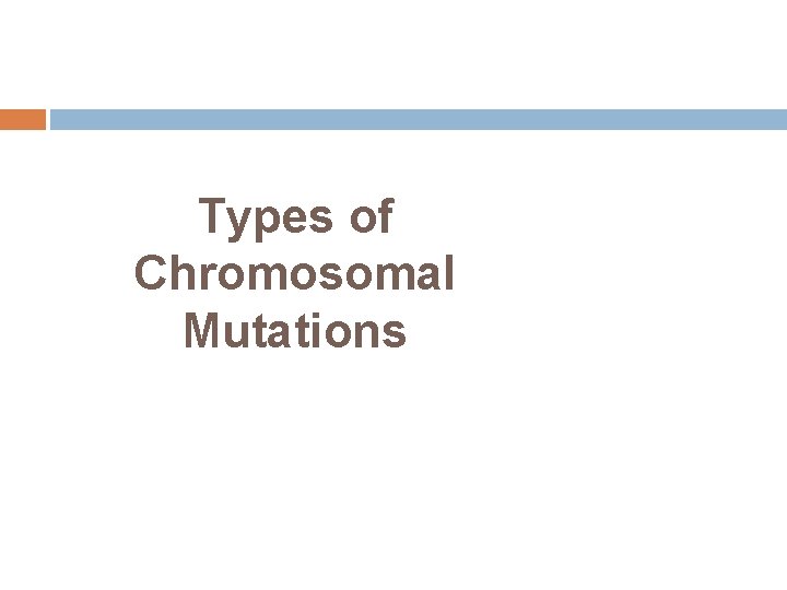 Types of Chromosomal Mutations 