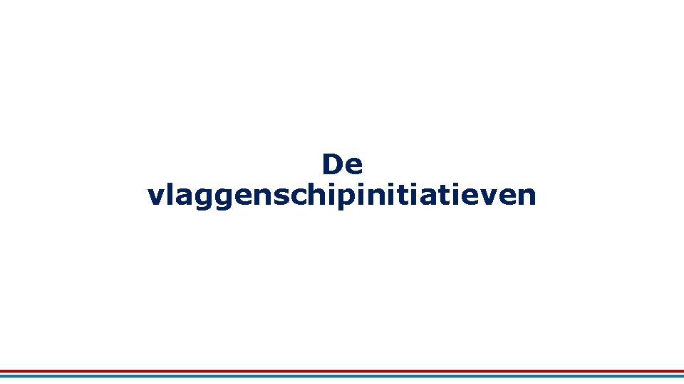 De vlaggenschipinitiatieven 