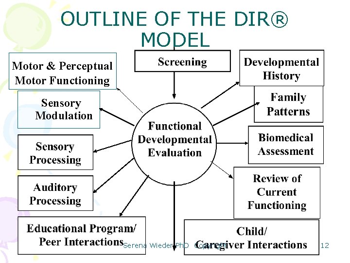 OUTLINE OF THE DIR® MODEL Motor & Perceptual Motor Functioning Sensory Modulation Serena Wieder