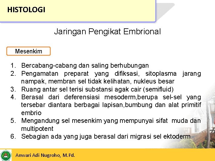 HISTOLOGI Jaringan Pengikat Embrional Mesenkim 1. Bercabang-cabang dan saling berhubungan 2. Pengamatan preparat yang