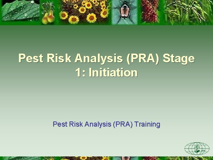 Pest Risk Analysis (PRA) Stage 1: Initiation Pest Risk Analysis (PRA) Training 