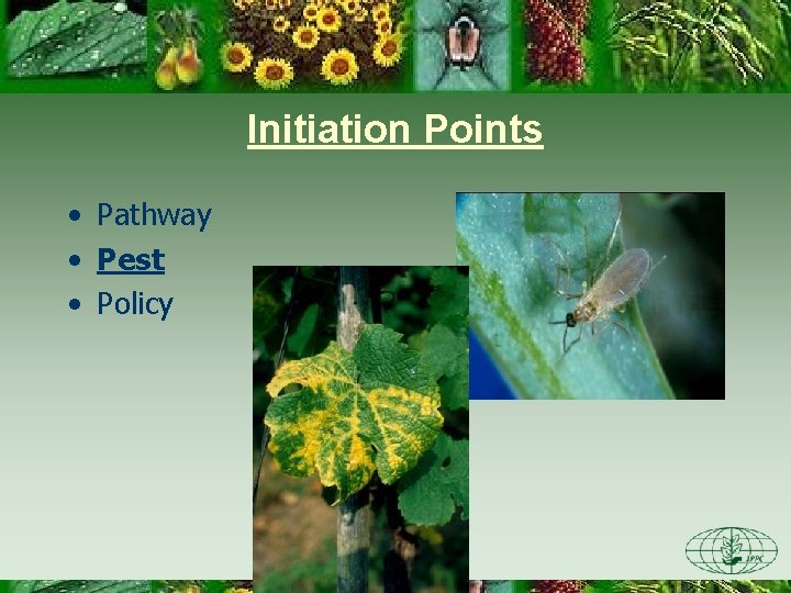 Initiation Points • Pathway • Pest • Policy 