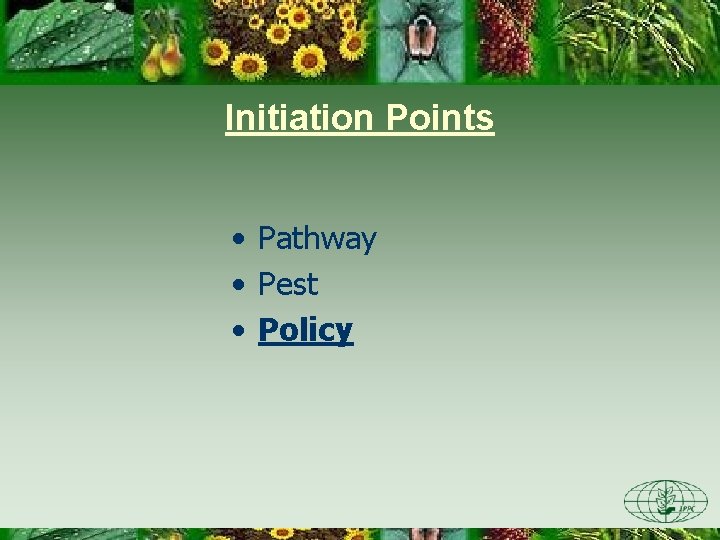 Initiation Points • Pathway • Pest • Policy 