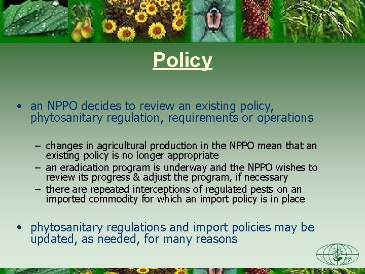 Policy • an NPPO decides to review an existing policy, phytosanitary regulation, requirements or