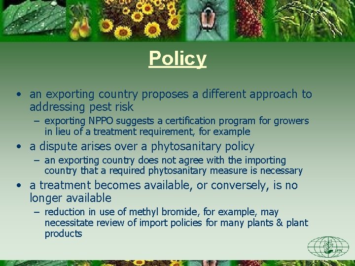 Policy • an exporting country proposes a different approach to addressing pest risk –