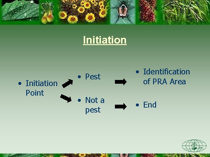 Initiation • Initiation Point • Pest • Identification of PRA Area • Not a