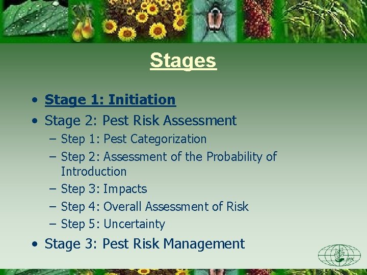 Stages • Stage 1: Initiation • Stage 2: Pest Risk Assessment – Step 1:
