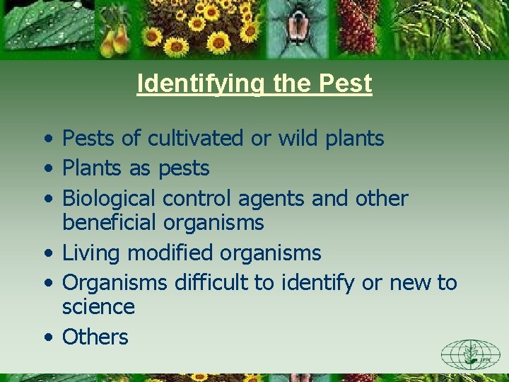 Identifying the Pest • Pests of cultivated or wild plants • Plants as pests