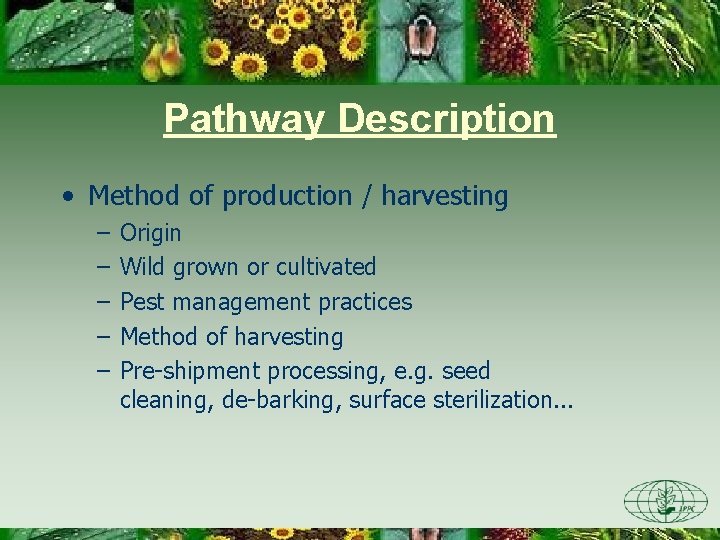 Pathway Description • Method of production / harvesting – – – Origin Wild grown