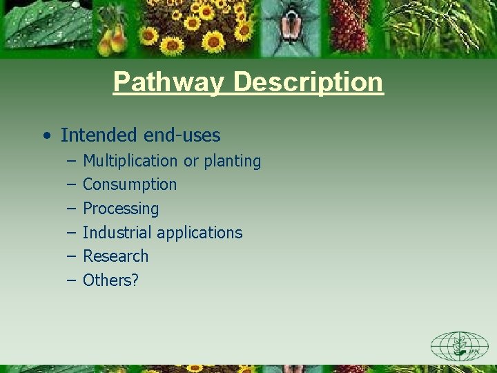 Pathway Description • Intended end-uses – – – Multiplication or planting Consumption Processing Industrial