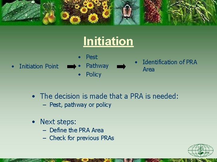 Initiation • Initiation Point • Pest • Pathway • Policy • Identification of PRA