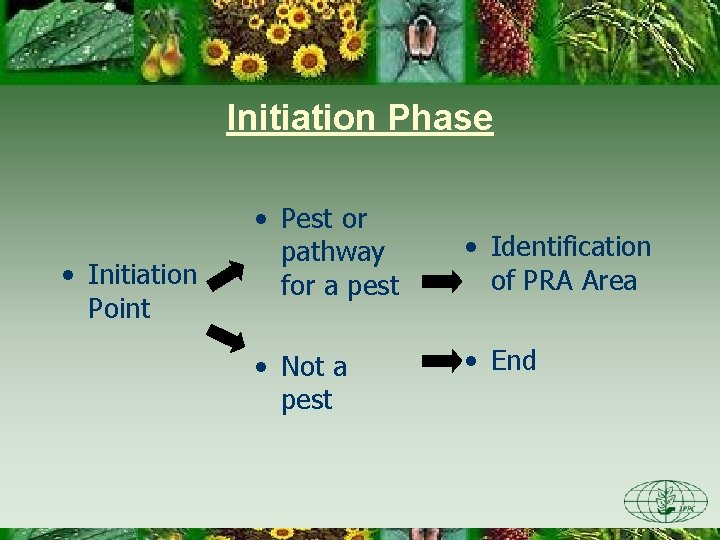 Initiation Phase • Initiation Point • Pest or pathway for a pest • Not