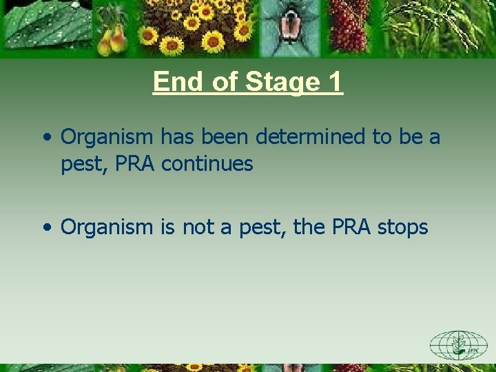 End of Stage 1 • Organism has been determined to be a pest, PRA