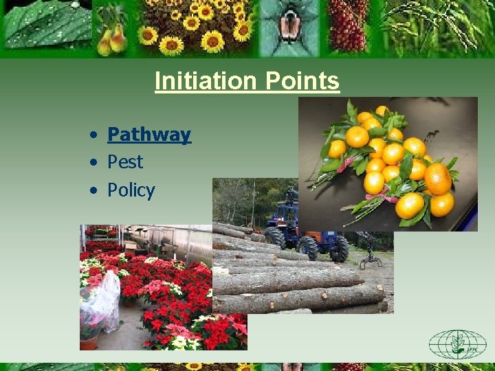 Initiation Points • Pathway • Pest • Policy 