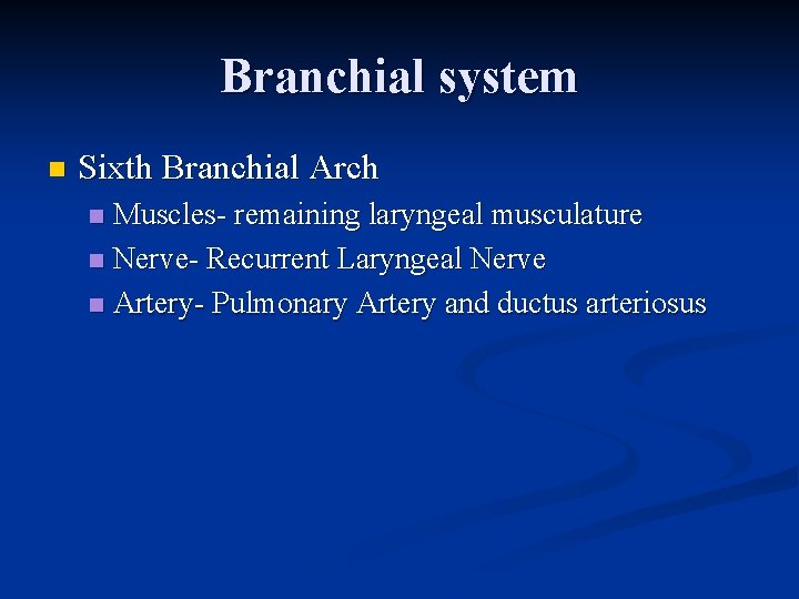 Branchial system n Sixth Branchial Arch Muscles- remaining laryngeal musculature n Nerve- Recurrent Laryngeal Branchial system n Sixth Branchial Arch Muscles- remaining laryngeal musculature n Nerve- Recurrent Laryngeal