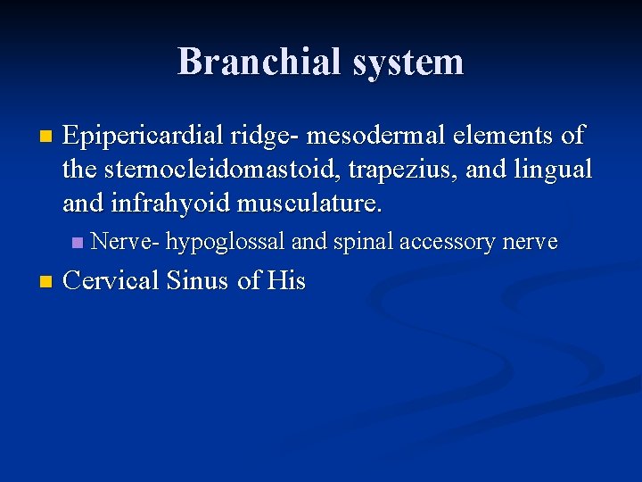 Branchial system n Epipericardial ridge- mesodermal elements of the sternocleidomastoid, trapezius, and lingual and Branchial system n Epipericardial ridge- mesodermal elements of the sternocleidomastoid, trapezius, and lingual and