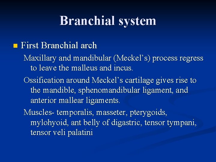 Branchial system n First Branchial arch Maxillary and mandibular (Meckel’s) process regress to leave Branchial system n First Branchial arch Maxillary and mandibular (Meckel’s) process regress to leave