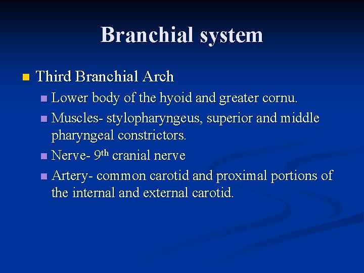 Branchial system n Third Branchial Arch Lower body of the hyoid and greater cornu. Branchial system n Third Branchial Arch Lower body of the hyoid and greater cornu.